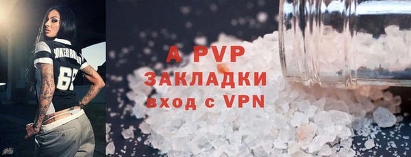 PSILOCYBIN Переславль-Залесский