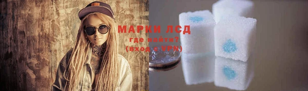 прущие грибы Пересвет