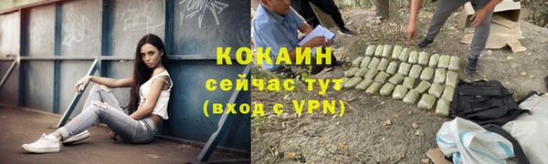 PSILOCYBIN Переславль-Залесский