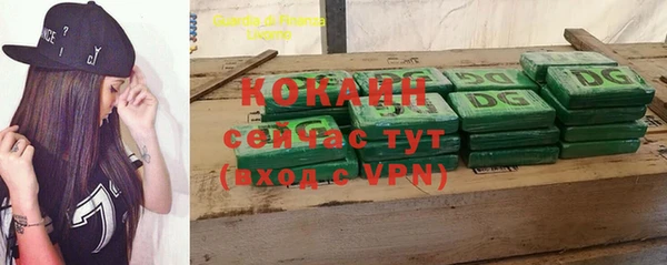 прущие грибы Пересвет